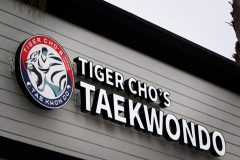 TigerChosWeb-scaled TigerChosWeb-scaled